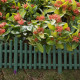 Gard ornamental de gradina verde, 60 x 32 cm, rezistent la conditii meteorologice, usor de montat, element decorativ pentru gradina