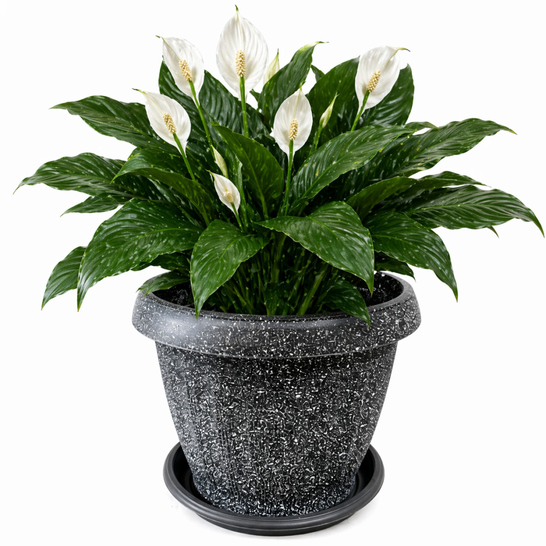 Ghiveci decorativ, 25 cm diametru, 20 cm inaltime, cu aspect de marmura