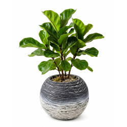 Ghiveci decorativ rotund, 11.5 cm diametru, 16.5 cm inaltime,  finisaj texturat gri, design modern