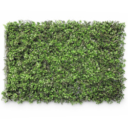 Panou verde din plante artificiale, trifoi, 60x40cm Panou verde din plante artificiale, trifoi, 60x40cm