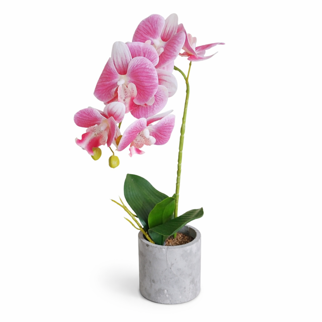 Orhidee cu aspect natural in ghiveci ceramic, 30cm, roz