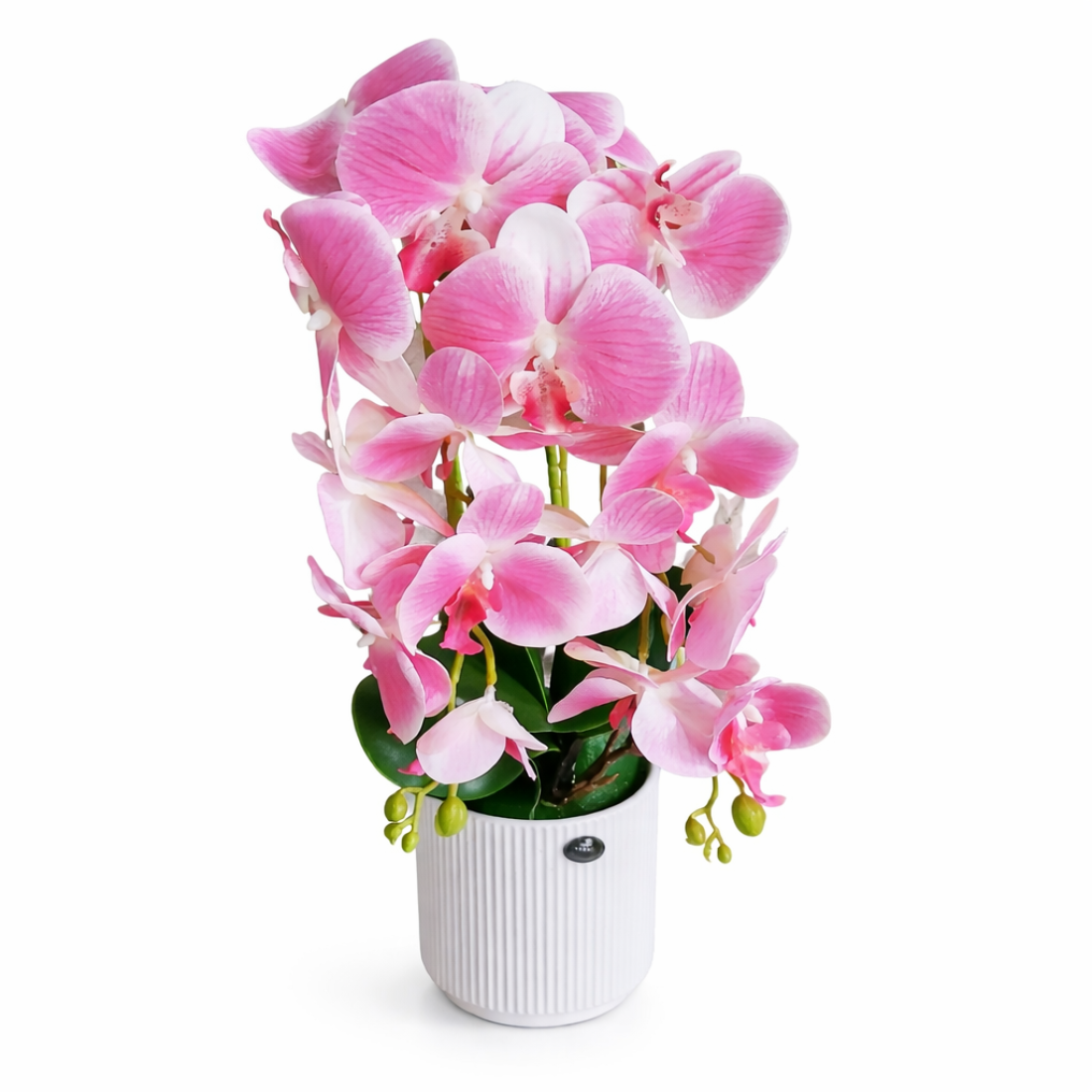 Orhidee roz cu aspect natural in ghiveci ceramic, 50cm