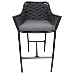 Fotoliu pentru exterior, Gri, 55x60x103 cm