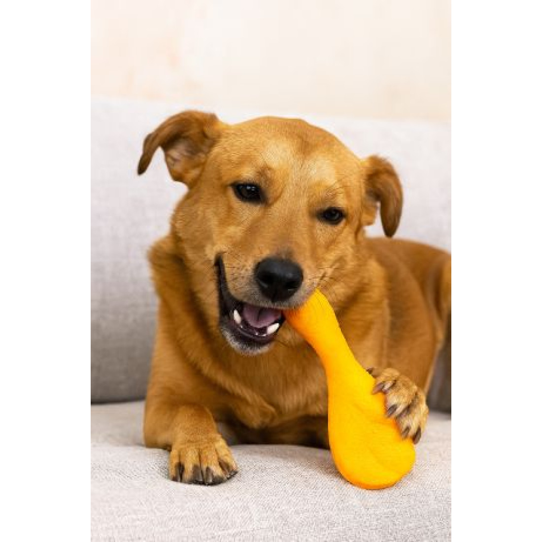 Jucărie pentru Animale în formă de Găină