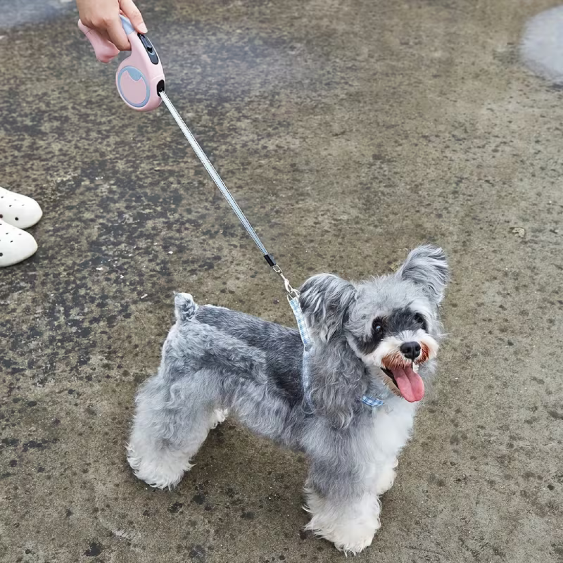 Lesa retractabila cu suport pungi, 3m, roz