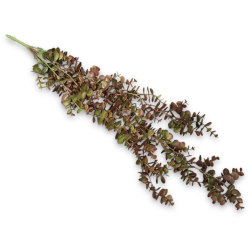 Planta artificiala decorativa 60 cm, Verde-rosu Planta artificiala decorativa 60 cm, Verde-rosu