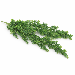 Planta artificiala decorativa 60 cm, Verde Planta artificiala decorativa 60 cm, Verde