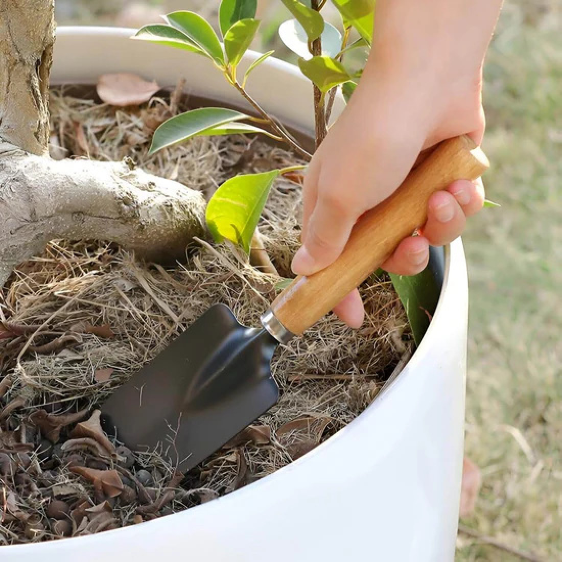 Set 3 ustensile de gradinarit, maner din lemn, lame din fier, 25 cm