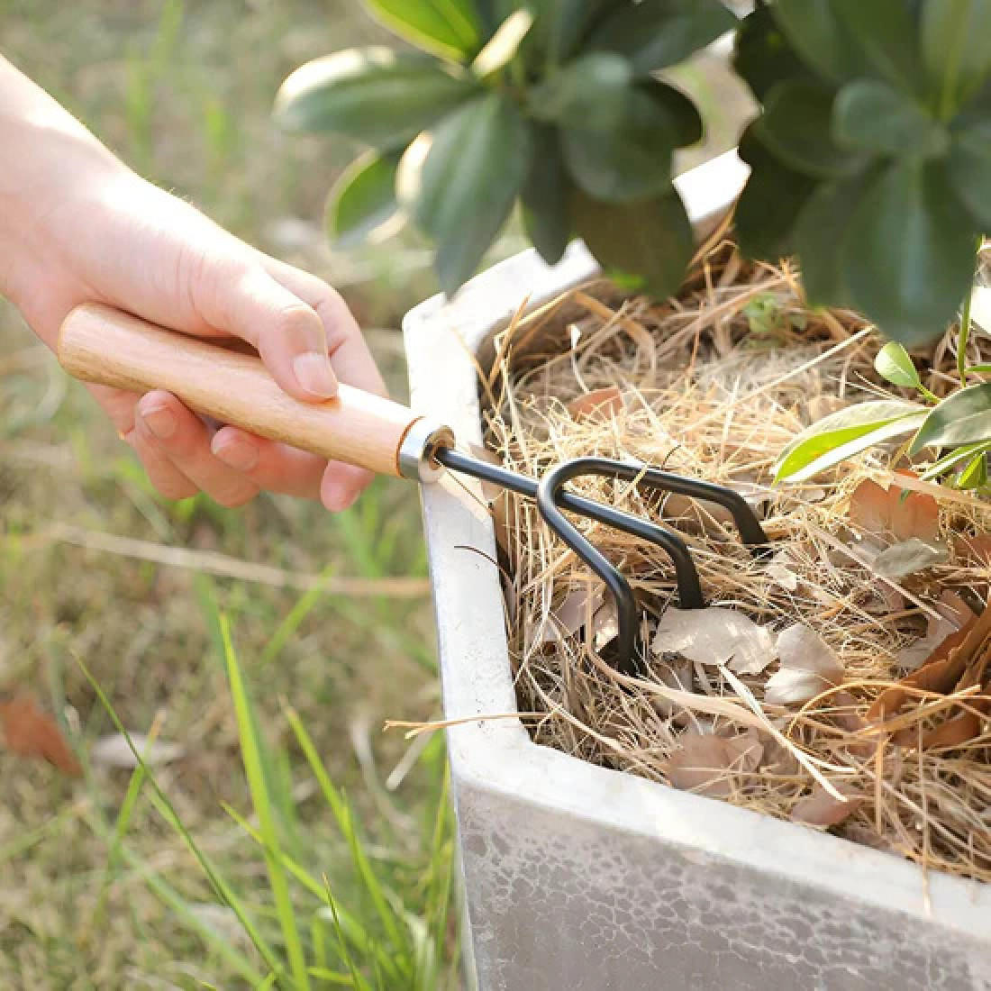 Set 3 ustensile de gradinarit, maner din lemn, lame din fier, 25 cm