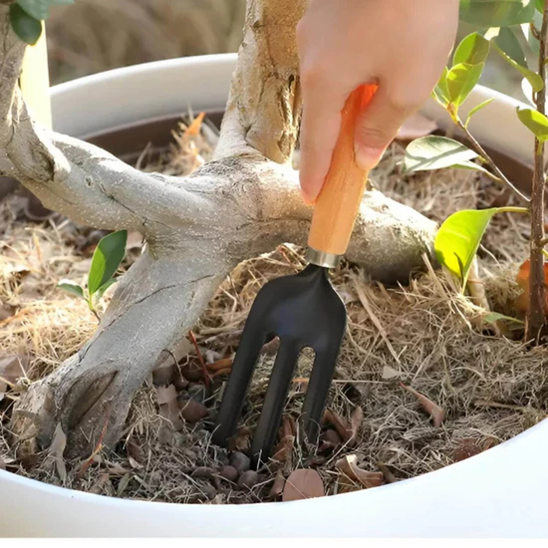 Set 3 ustensile de gradinarit, maner din lemn, lame din fier, 25 cm