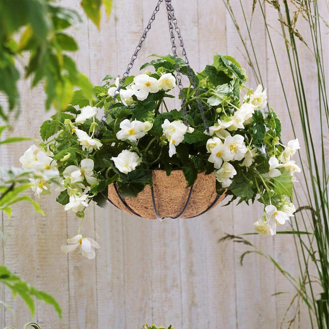 Cos ghiveci suspendat pentru flori, maro, otel + fibra cocos, cu lant si carlig, 30 cm diametru, design traditional rustic