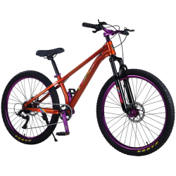 Bicicleta RDB BDF-TPC, roata 26 inch, rosu cu violet