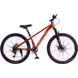 Bicicleta RDB BDF-TPC, roata 26 inch, rosu cu violet Bicicleta RDB BDF-TPC, roata 26 inch, rosu cu violet