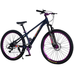 Bicicleta RDB BDF-TPC, roata 26 inch, albastru cu violet
