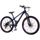 Bicicleta RDB BDF-TPC, roata 26 inch, albastru cu violet