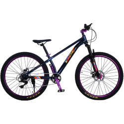 Bicicleta RDB BDF-TPC, roata 26 inch, albastru cu violet