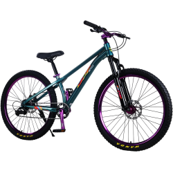 Bicicleta RDB BDF-TPC, roata 26 inch, verde cu violet