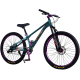 Bicicleta RDB BDF-TPC, roata 26 inch, verde cu violet