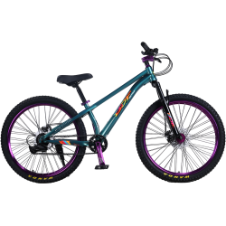 Bicicleta RDB BDF-TPC, roata 26 inch, verde cu violet