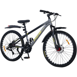 Bicicleta BDF-TZZ200, roata 26 inch, gri