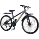 Bicicleta BDF-TZZ200, roata 26 inch, gri