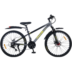 Bicicleta BDF-TZZ200, roata 26 inch, gri