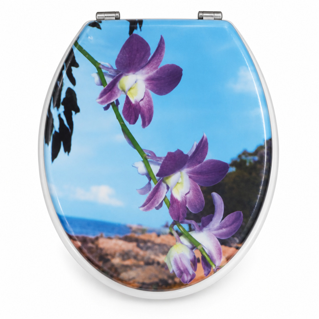 Capac WC, 44 x 36 cm, diverse modele