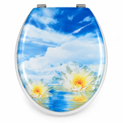 Capac WC, 44 x 36 cm, diverse modele