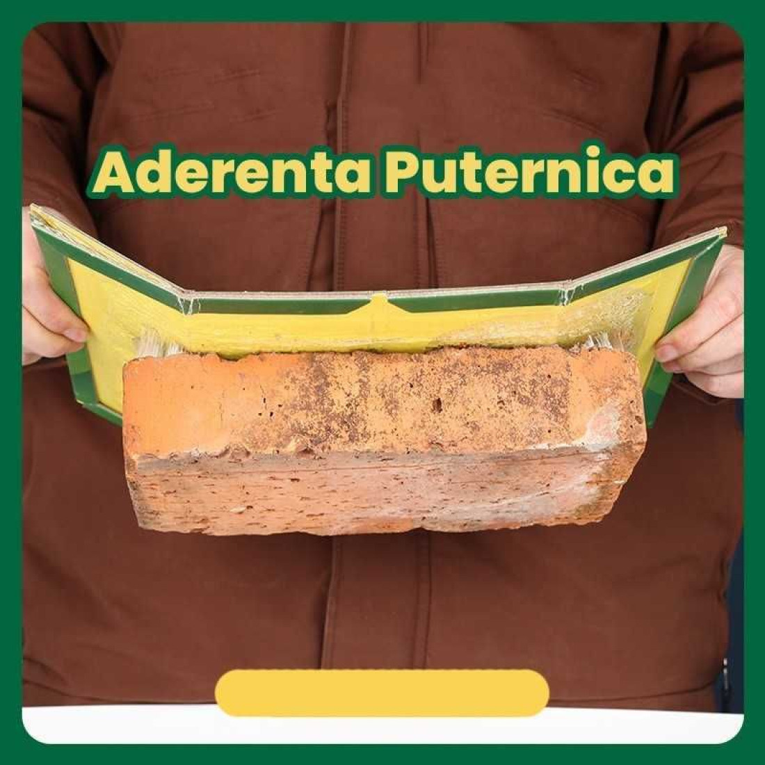 Capcane adezive tip carte pentru soareci si sobolani, eficiente si usor de folosit Capcane adezive tip carte pentru soareci si sobolani, eficiente si usor de folosit