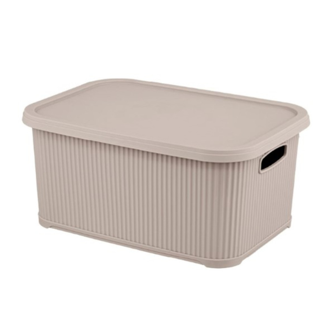 Cos depozitare cu capac, 5.5L, 21 x 29 x 12 cm