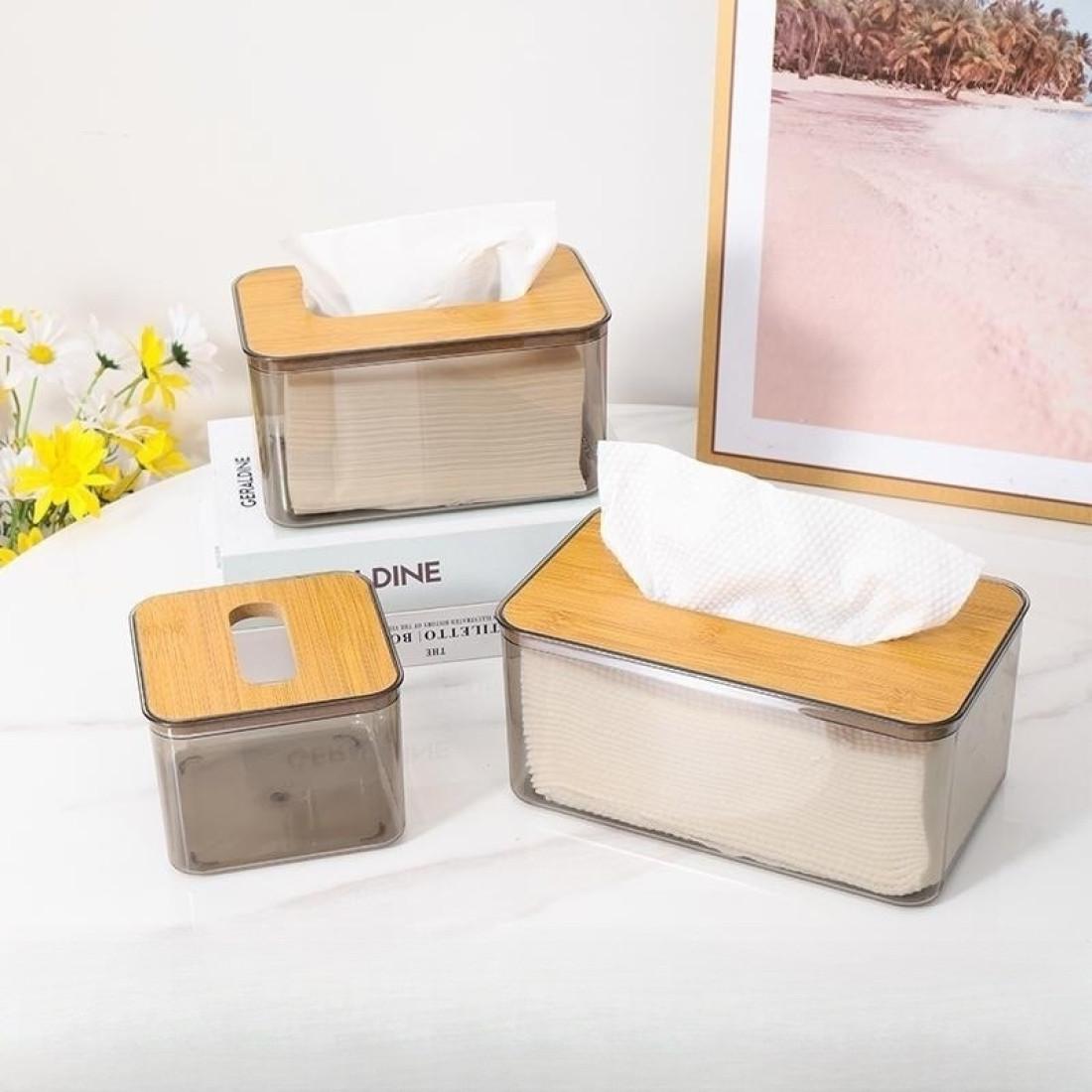 Cutie pentru servetele, corp din plastic transparent cu capac din lemn, 13 x 22 x 10 cm Cutie pentru servetele, corp din plastic transparent cu capac din lemn, 13 x 22 x 10 cm