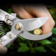 Foarfeca de gradina taiere rapida si precisa, maner ergonomic, pentru taiat via Foarfeca de gradina taiere rapida si precisa, maner ergonomic, pentru taiat via