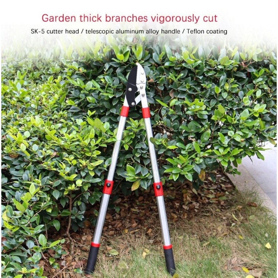 Foarfeca pentru crengi cu manere telescopice din aluminiu, lame 8 cm Foarfeca pentru crengi cu manere telescopice din aluminiu, lame 8 cm