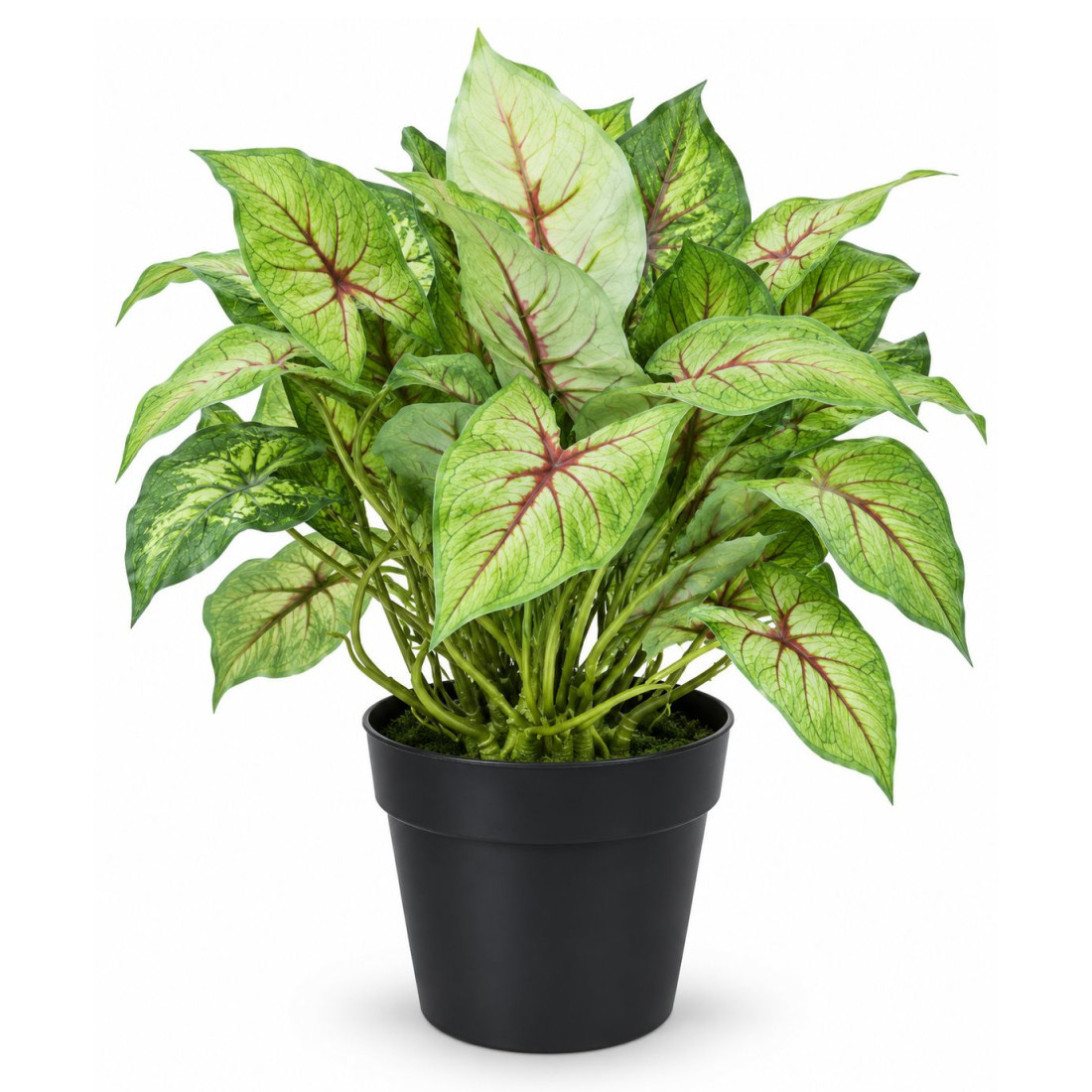 Planta artificiala decorativa cu frunze realiste in ghiveci, 22 cm Planta artificiala decorativa cu frunze realiste in ghiveci, 22 cm