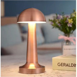 Lampa de masa LED reincarcabila cu USB Type-C, lumina calda, corp din aluminiu, 9 x 9 x 21 cm, bronz Lampa de masa LED reincarcabila cu USB Type-C, lumina calda, corp din aluminiu, 9 x 9 x 21 cm, bronz