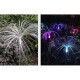 Set 2 Lampi Solare LED Tip Meduza pentru Gradina, Iluminare Decorativa Exterior, Incarcare Solara Set 2 Lampi Solare LED Tip Meduza pentru Gradina, Iluminare Decorativa Exterior, Incarcare Solara