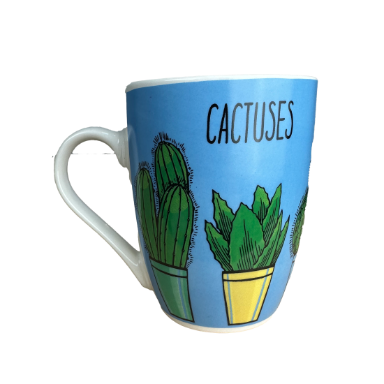 CANA 8.3*10.5CM CACTUSI 