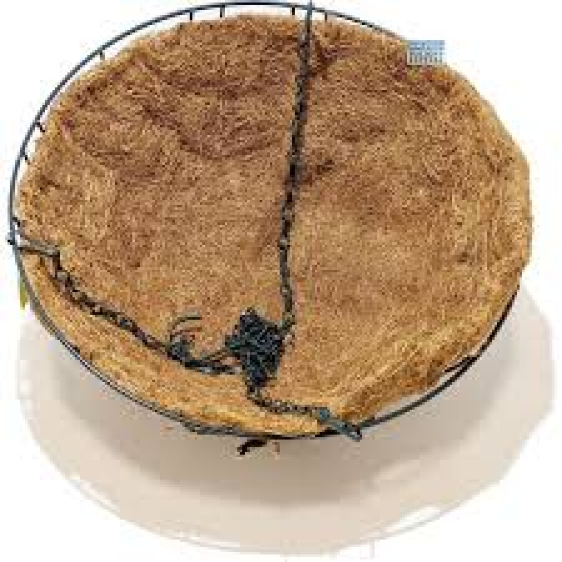 GHIVECI FLORI CU LANT