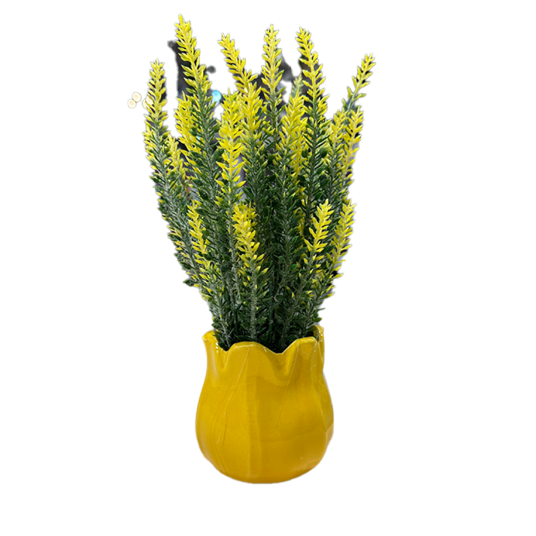 Ghiveci de Flori RDB-355