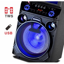 Boxă portabilă RTS-8015 cu tabletă integrată