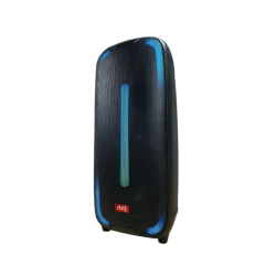 Boxa Portabila RTS-2807